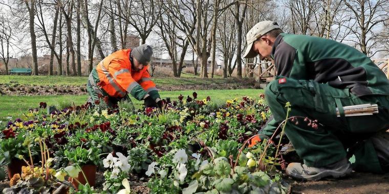 Frühling lässt Arbeitslosenzahl sinken